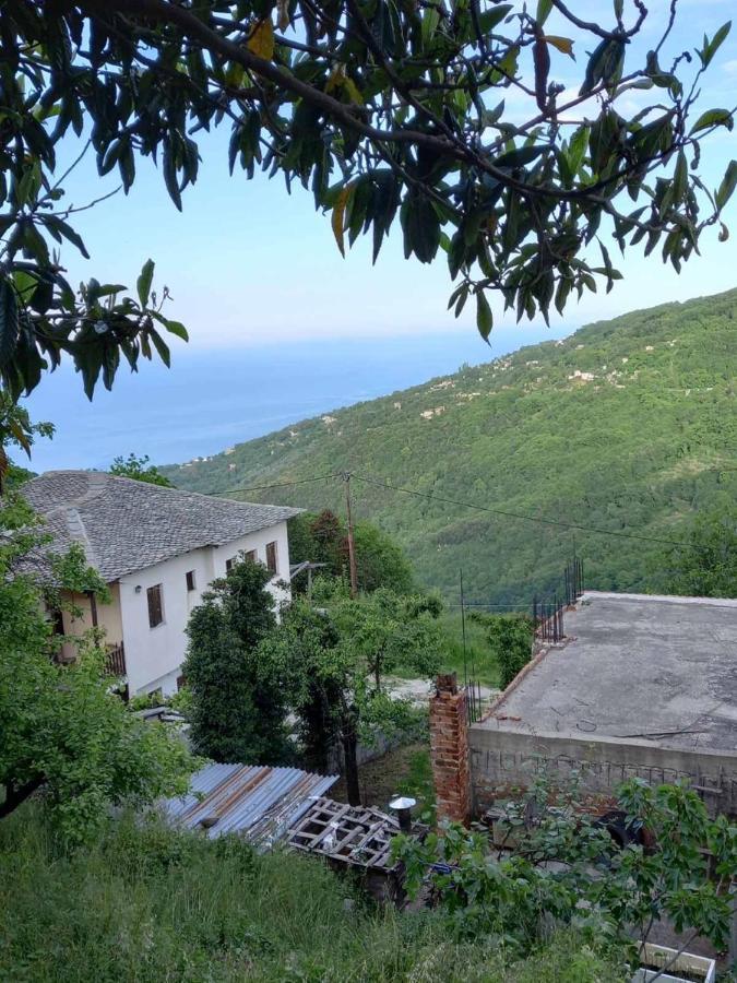 Orizontas Pilio Villa Kissos  Exterior photo