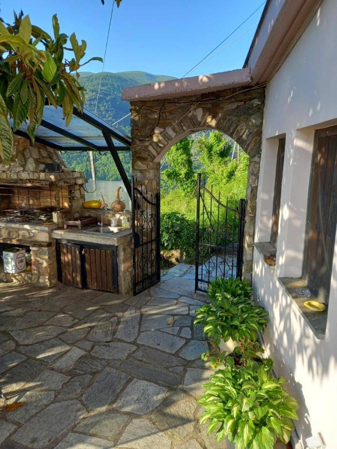 Orizontas Pilio Villa Kissos  Exterior photo