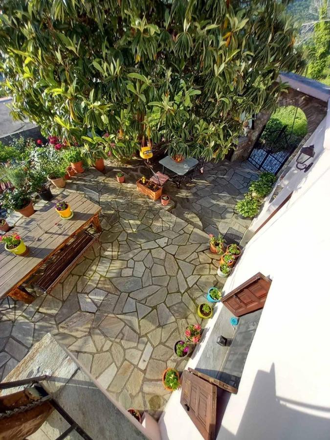 Orizontas Pilio Villa Kissos  Exterior photo