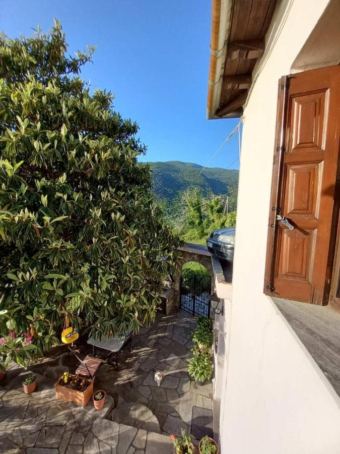 Orizontas Pilio Villa Kissos  Exterior photo